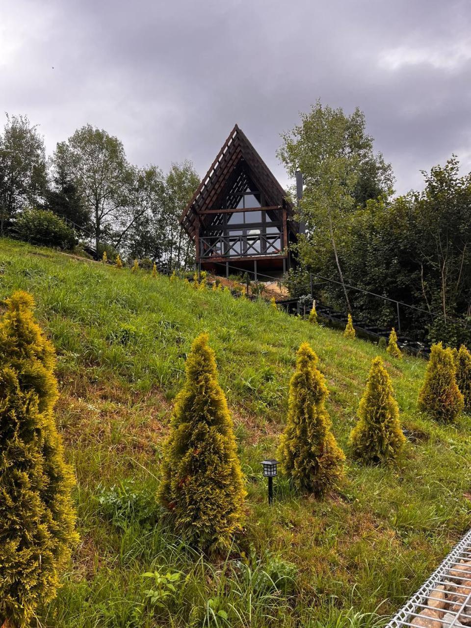 Valley Hills-Котедж На Схилах Гір З Чаном-Джакузі Slavsko Exterior foto